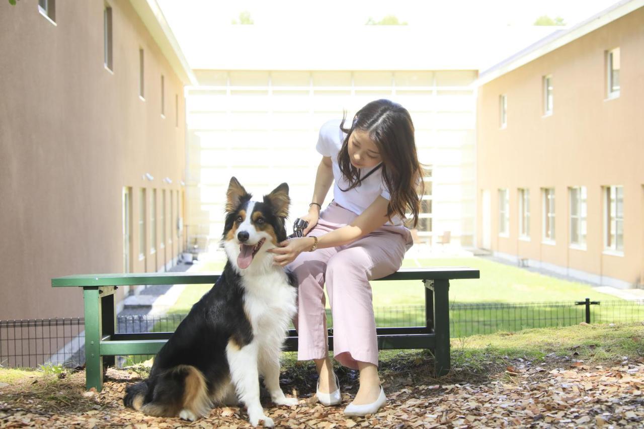 Yutorelo Tateshina Hotel With Dogs Chino Εξωτερικό φωτογραφία